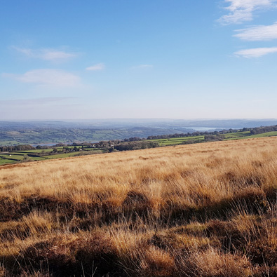 The Mendip Hills